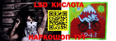 спайс Кулебаки